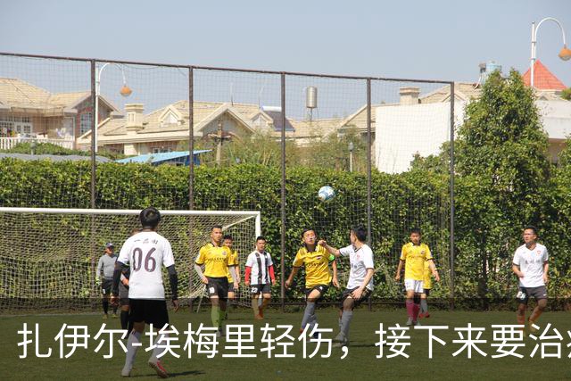 扎伊尔-埃梅里轻伤，接下来要治疗啦！