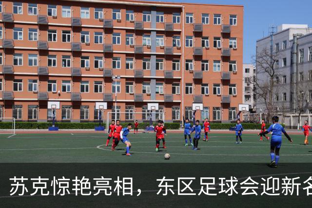 苏克惊艳亮相，东区足球会迎新名誉会长
